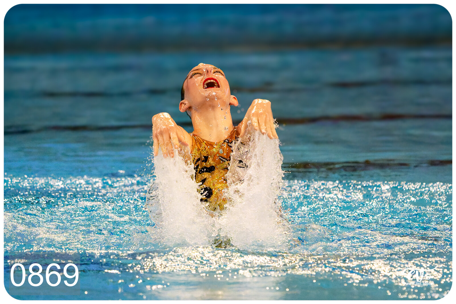 CHAMPIONNAT DE FRANCE DE NATATiON ARTISTIQUE N1 & ELITE 2026